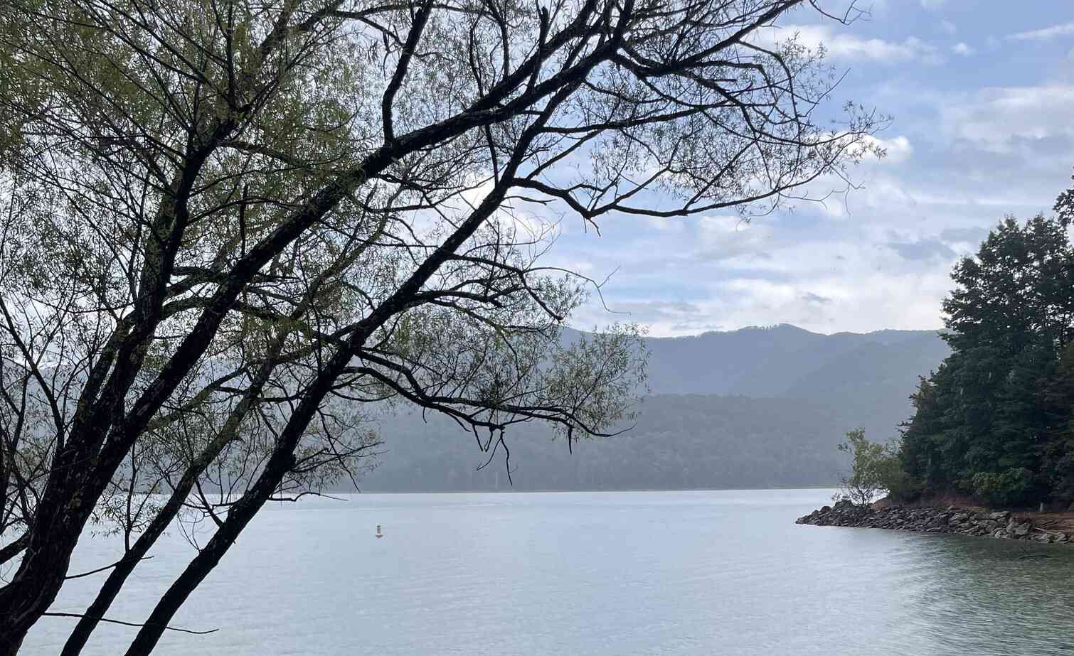 Johnson City Landscapes