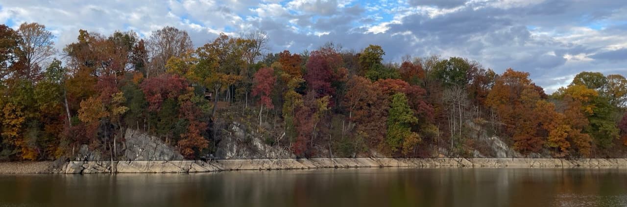 Johnson City TN forest at river